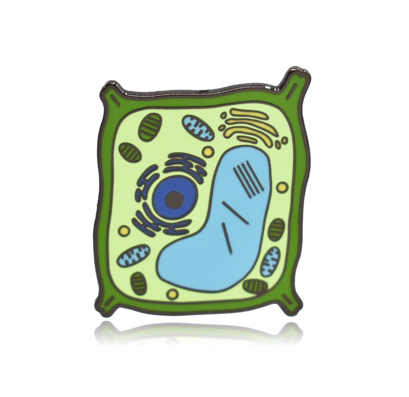 A green and blue colored depiction of a plant cell on an enamel pin. 