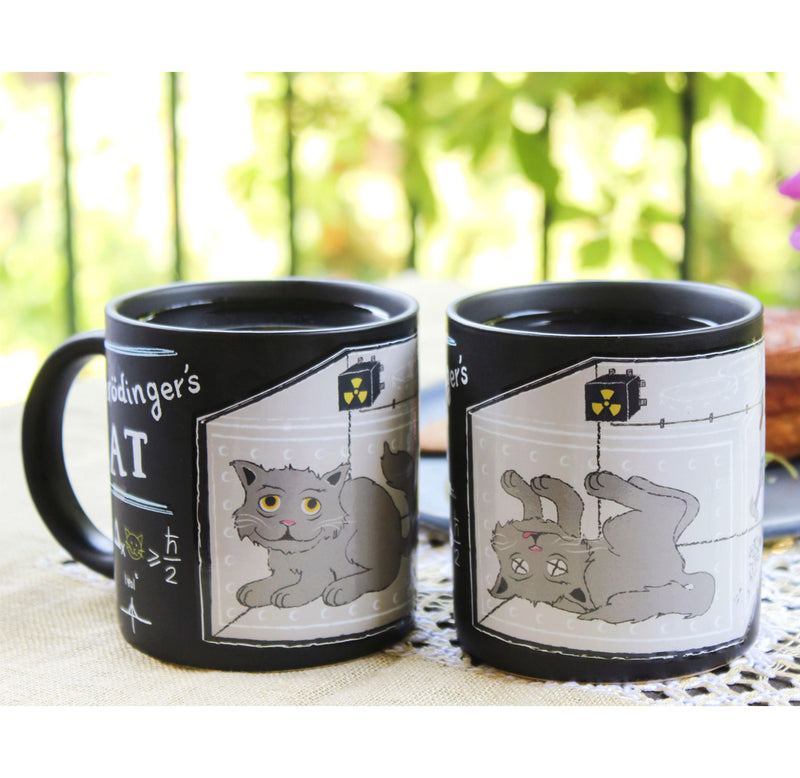 Schrodinger's Cat Mug (Set of 2)