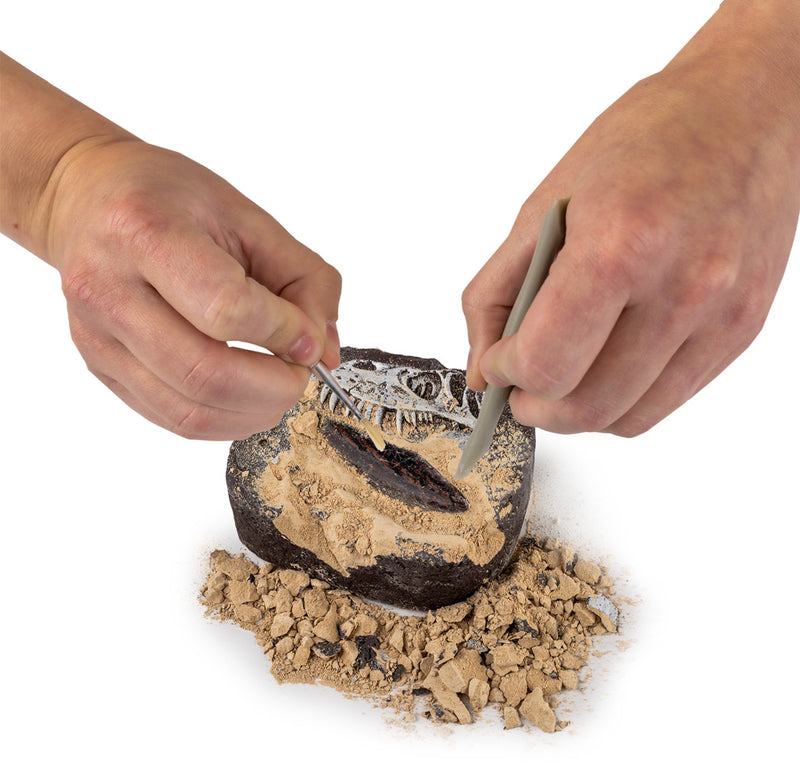 Hands are holding a brush and dig tool and dissecting the dig brick. 