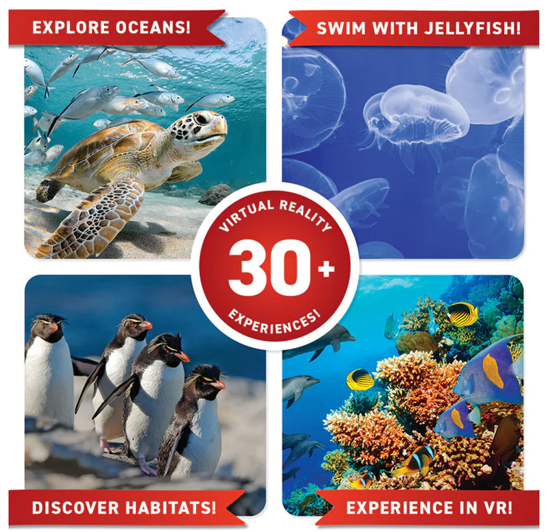 Four images from the book showing a sea turtle, jellyfish, penguins, and a coral reef. 