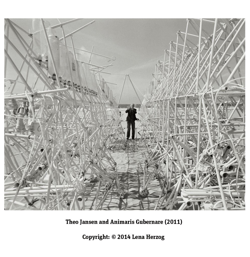 Buy Lena Herzog Strandbeest The Dream Machines of Theo Jansen Book Free Shipping